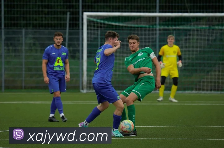 问鼎28发展历程